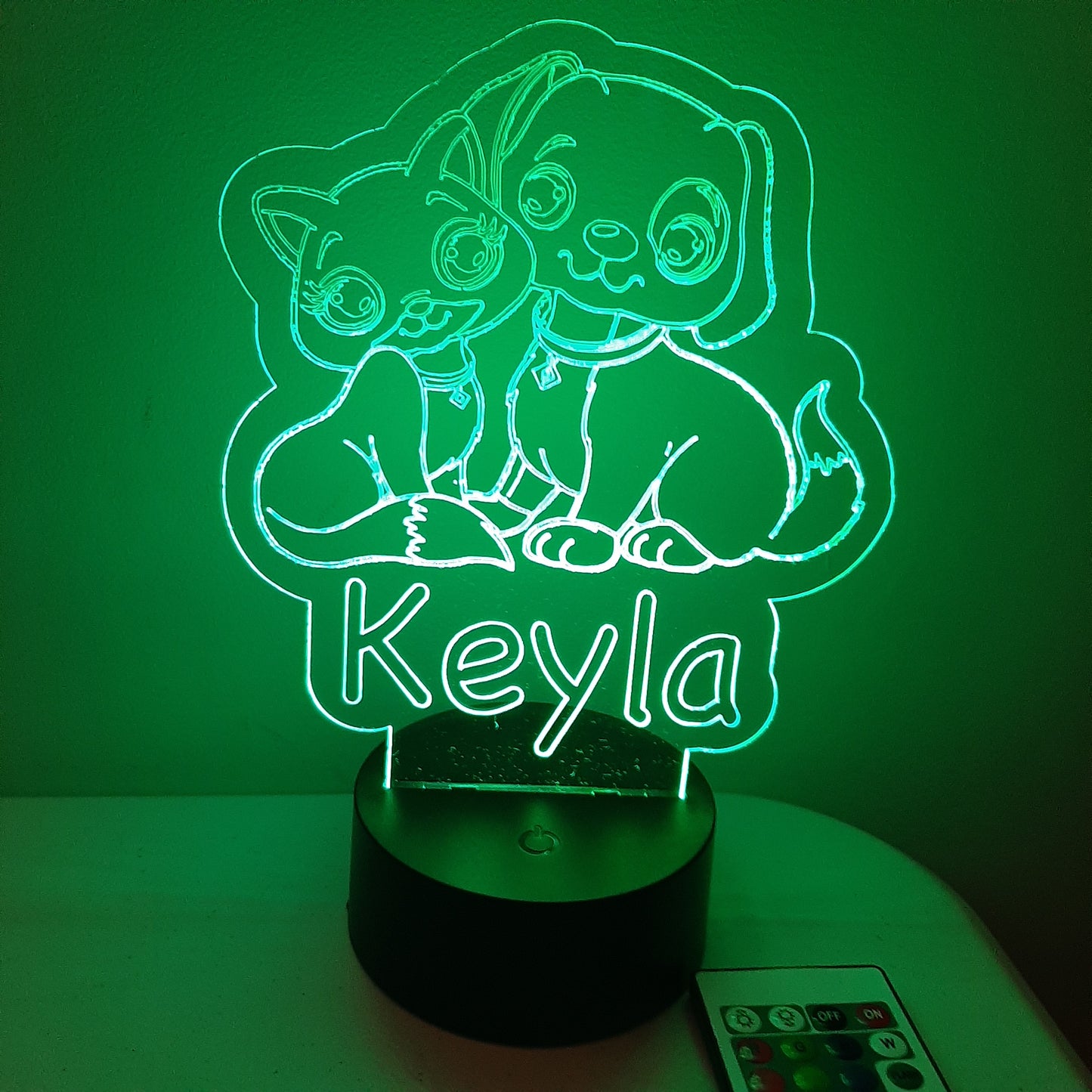 CUSTOM LED Night Light Sign